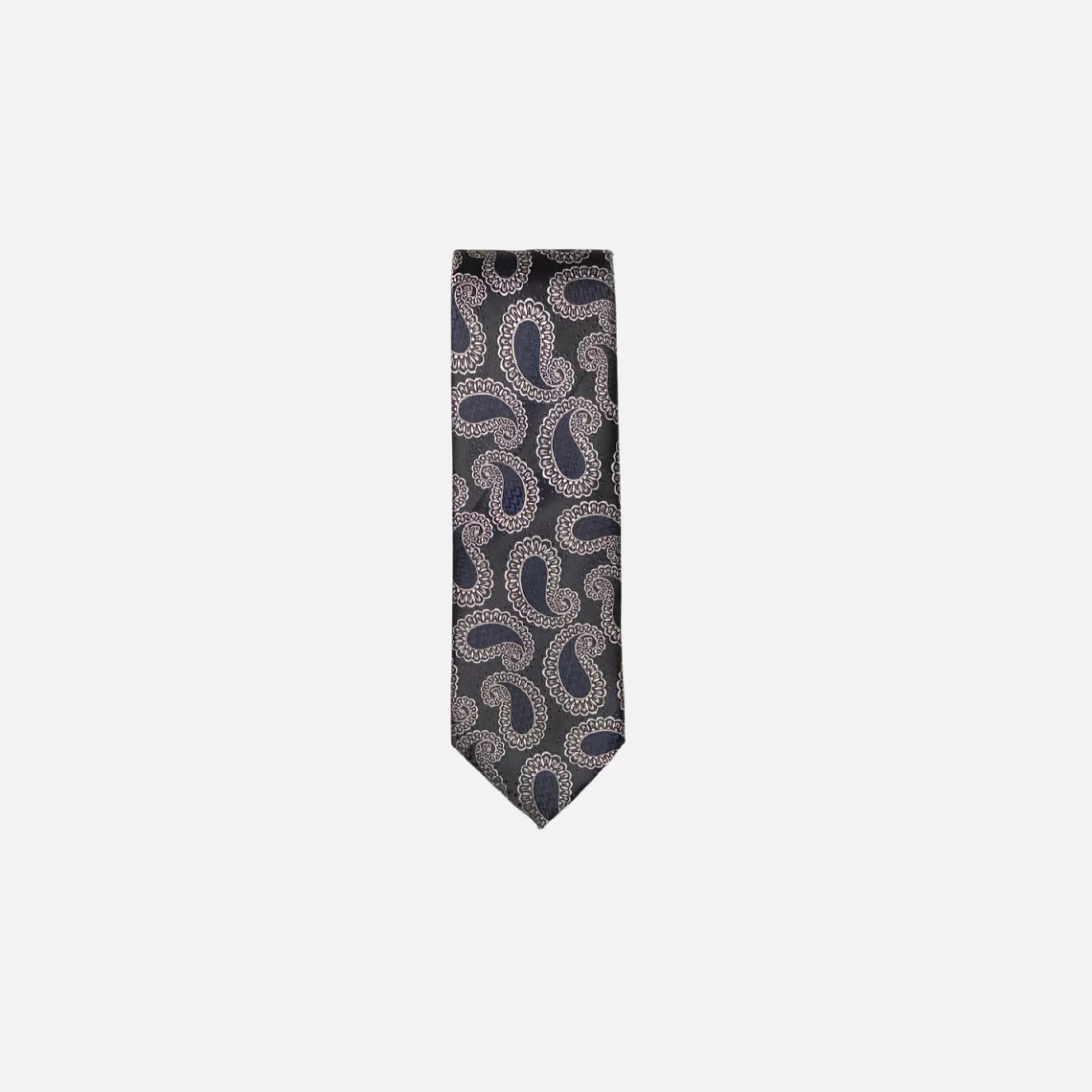 Adelmo Paisley Pattern Tie | New Edition Fashion Clearance