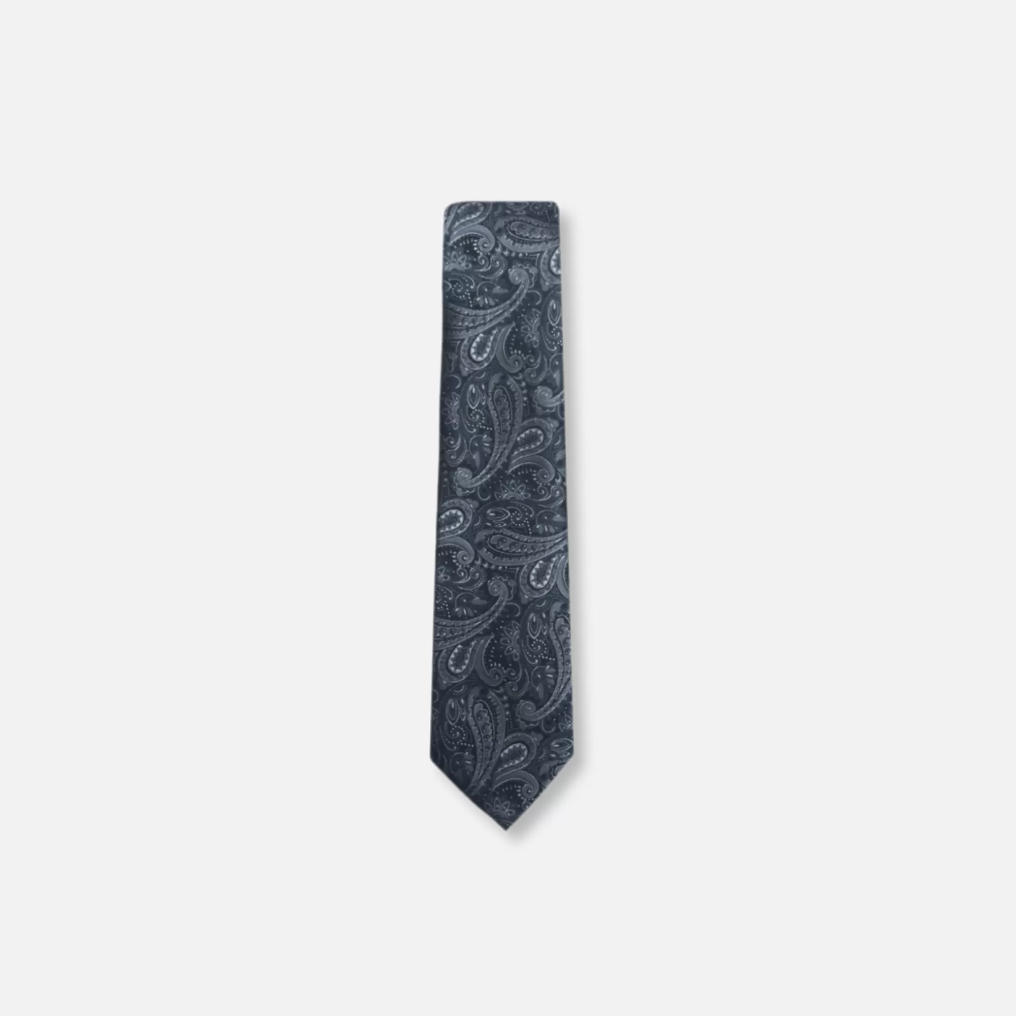 Bagdon Slim Paisley Tie | New Edition Fashion New