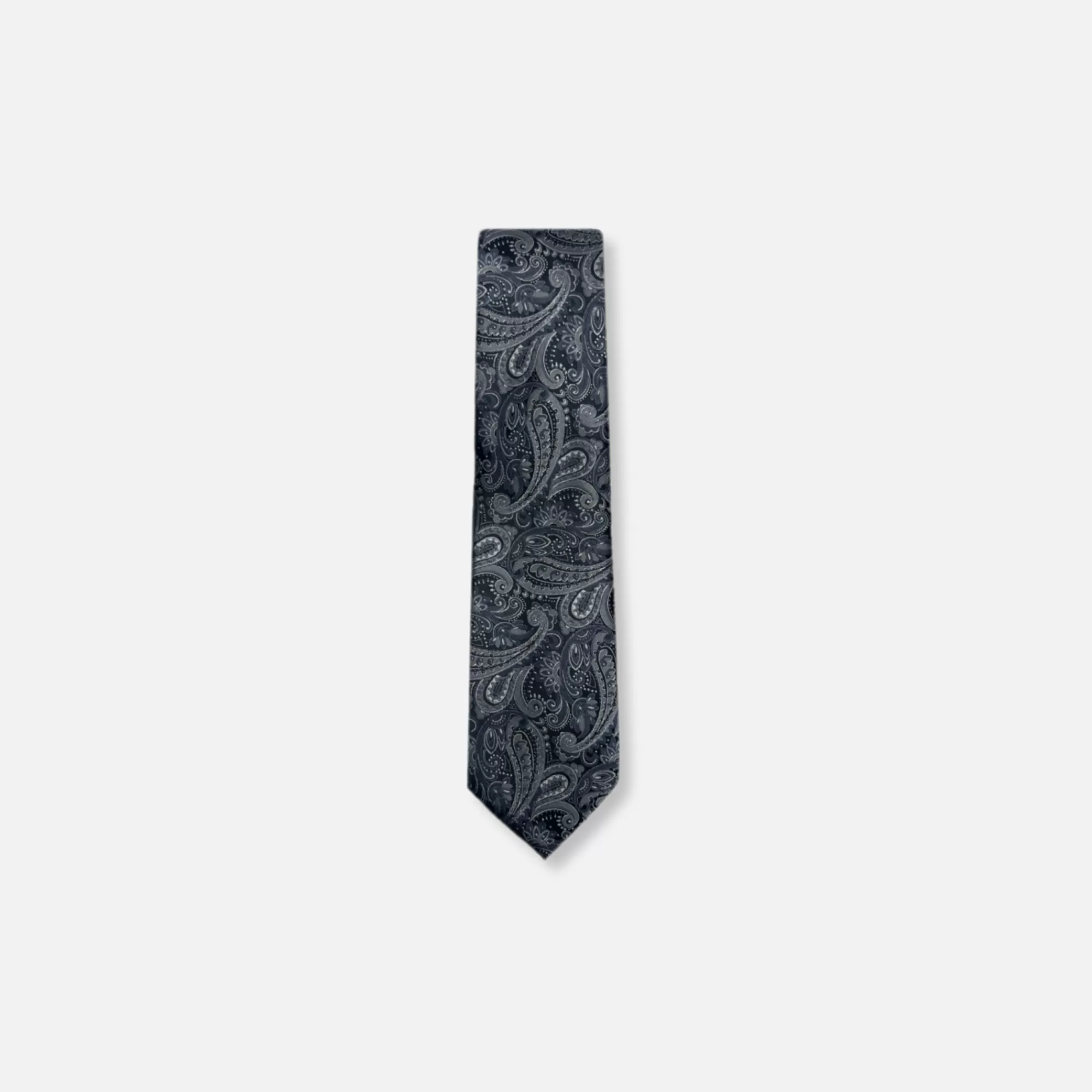 Bagwell Slim Paisley Tie | New Edition Fashion Sale