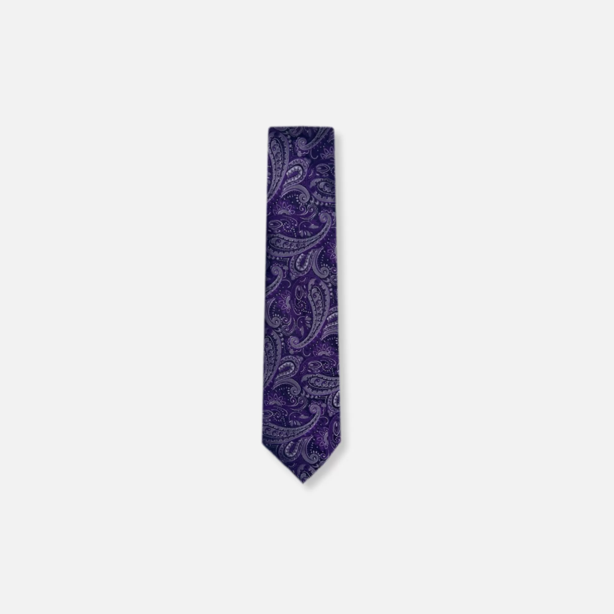 Bagwell Slim Paisley Tie | New Edition Fashion New