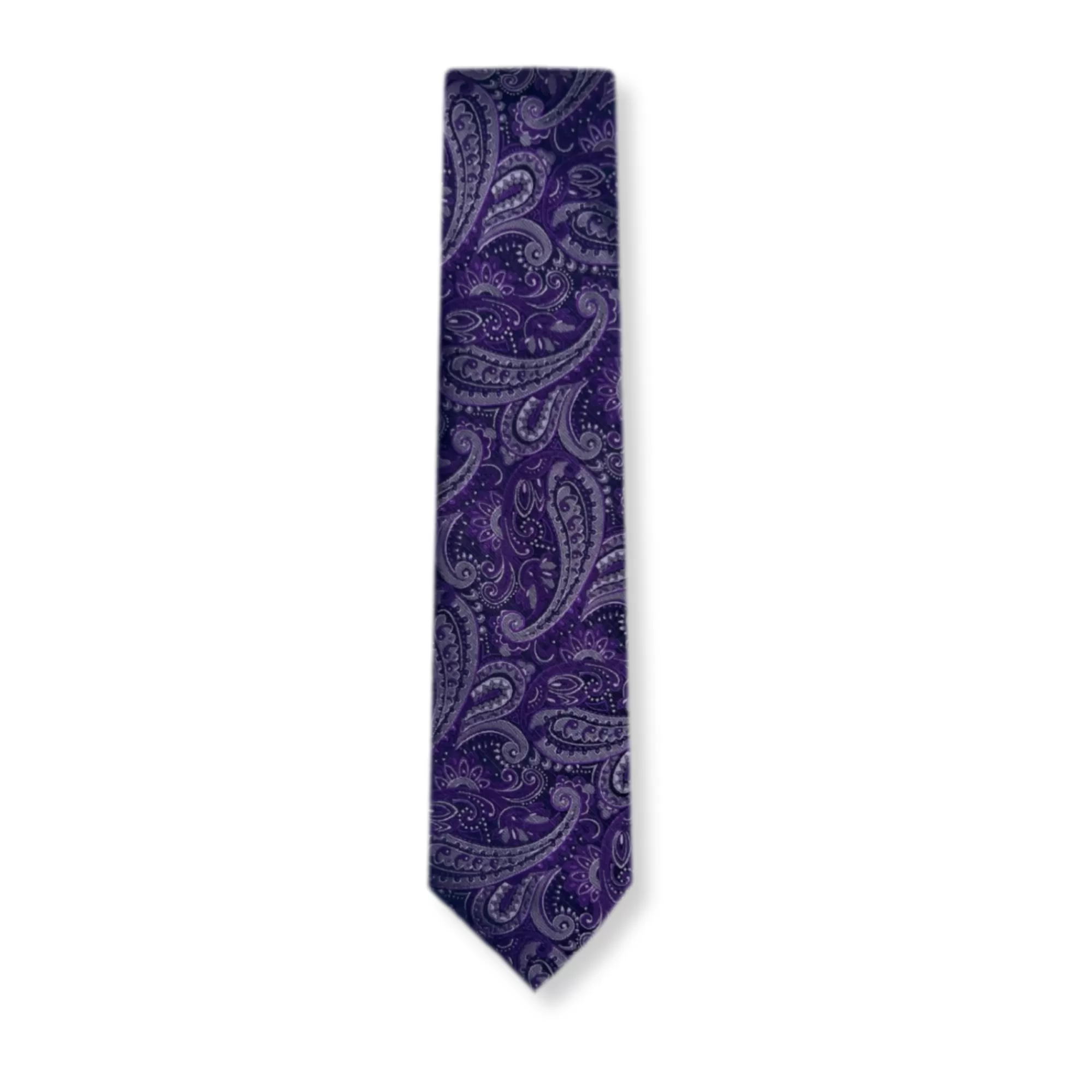 Bagwell Slim Paisley Tie | New Edition Fashion New