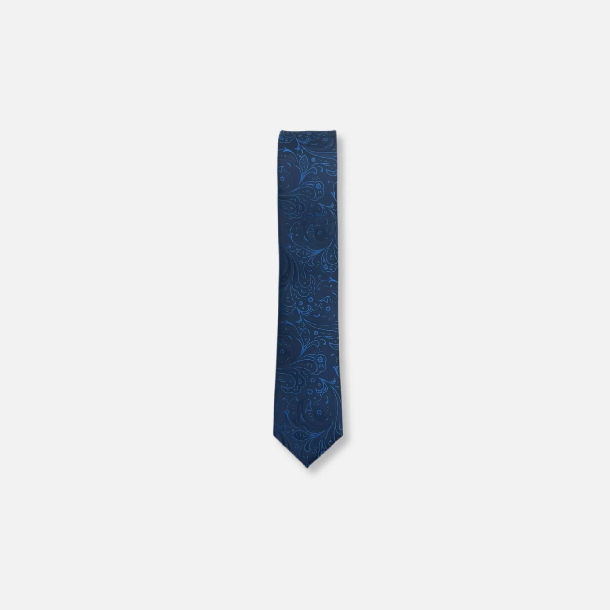 Bainer Skinny Paisley Tie | New Edition Fashion Online