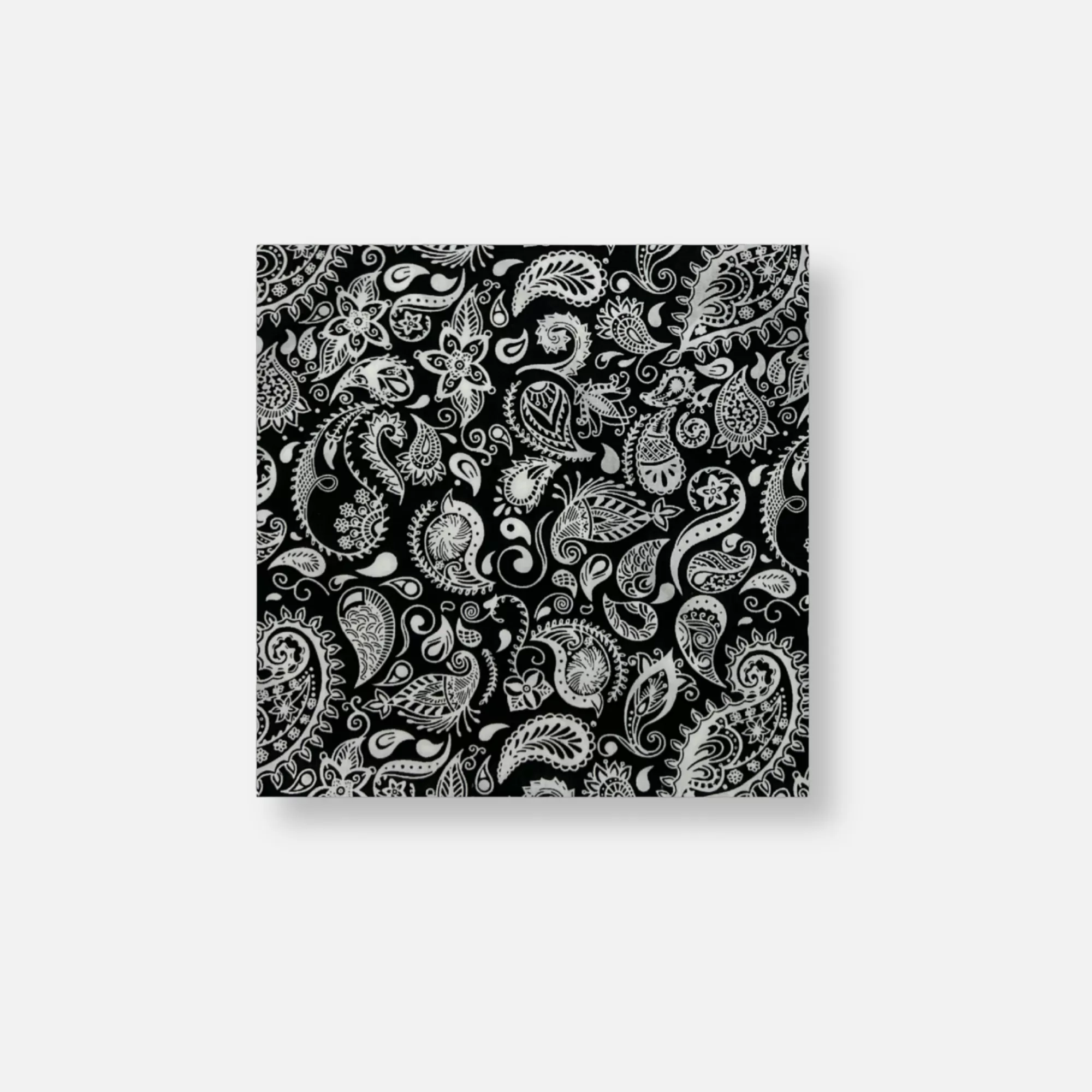 Baisley Paisley Pocket Square | New Edition Fashion Online