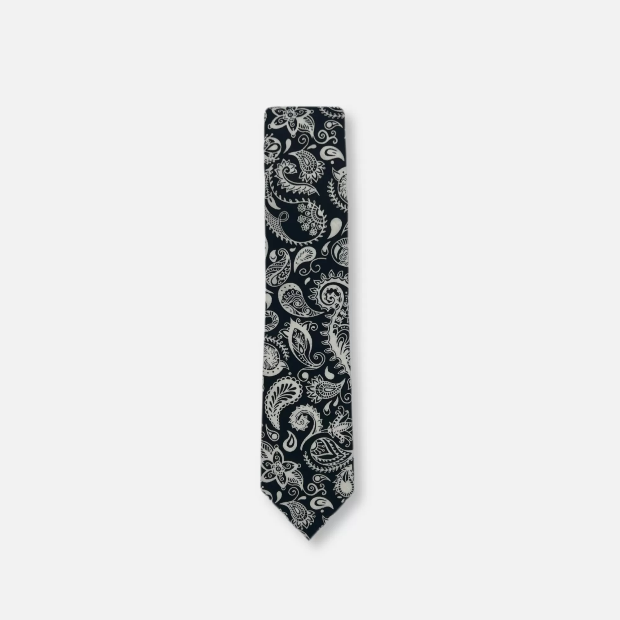 Baisley Skinny Paisley Tie | New Edition Fashion Best Sale