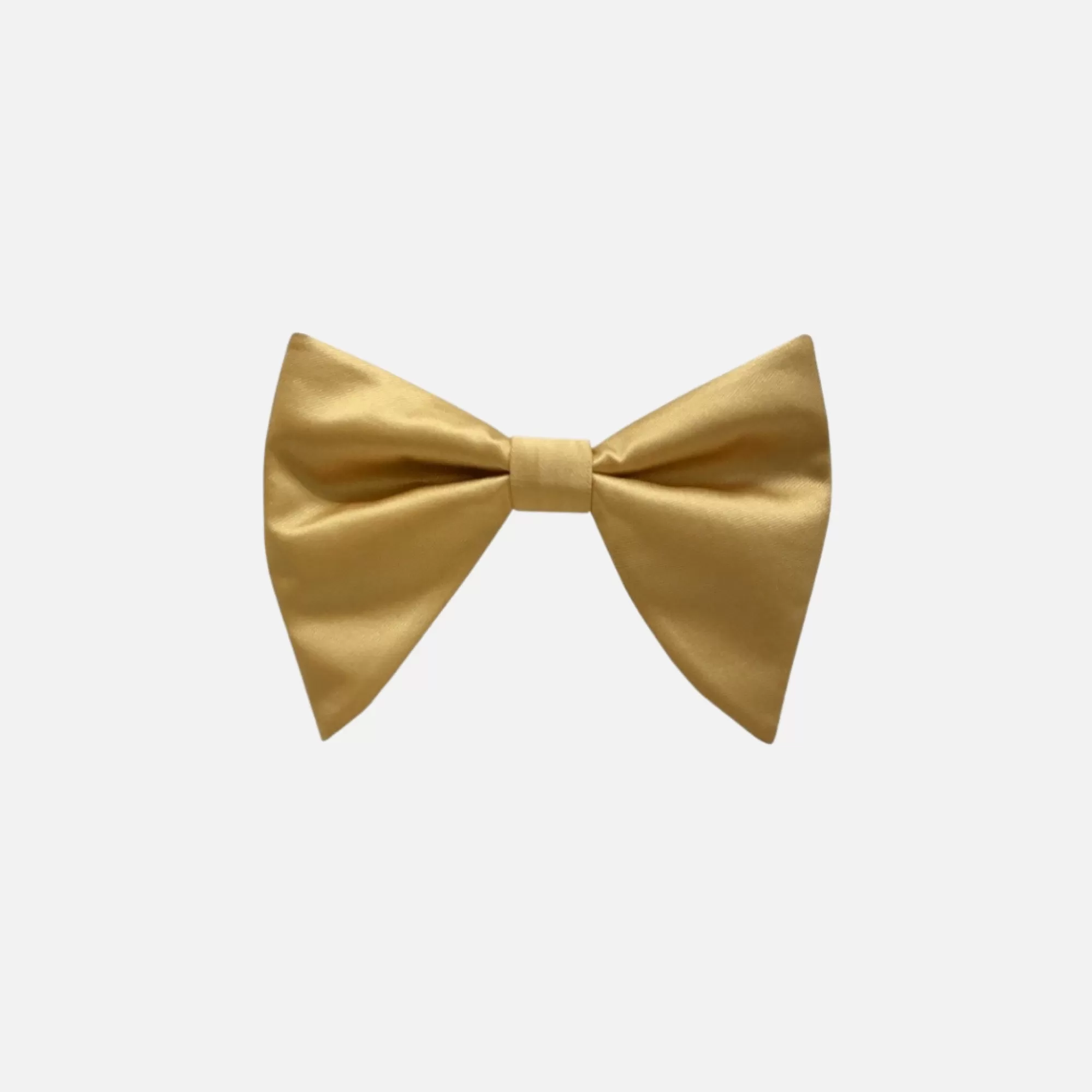 Brandon Long Bow Tie | New Edition Fashion Shop