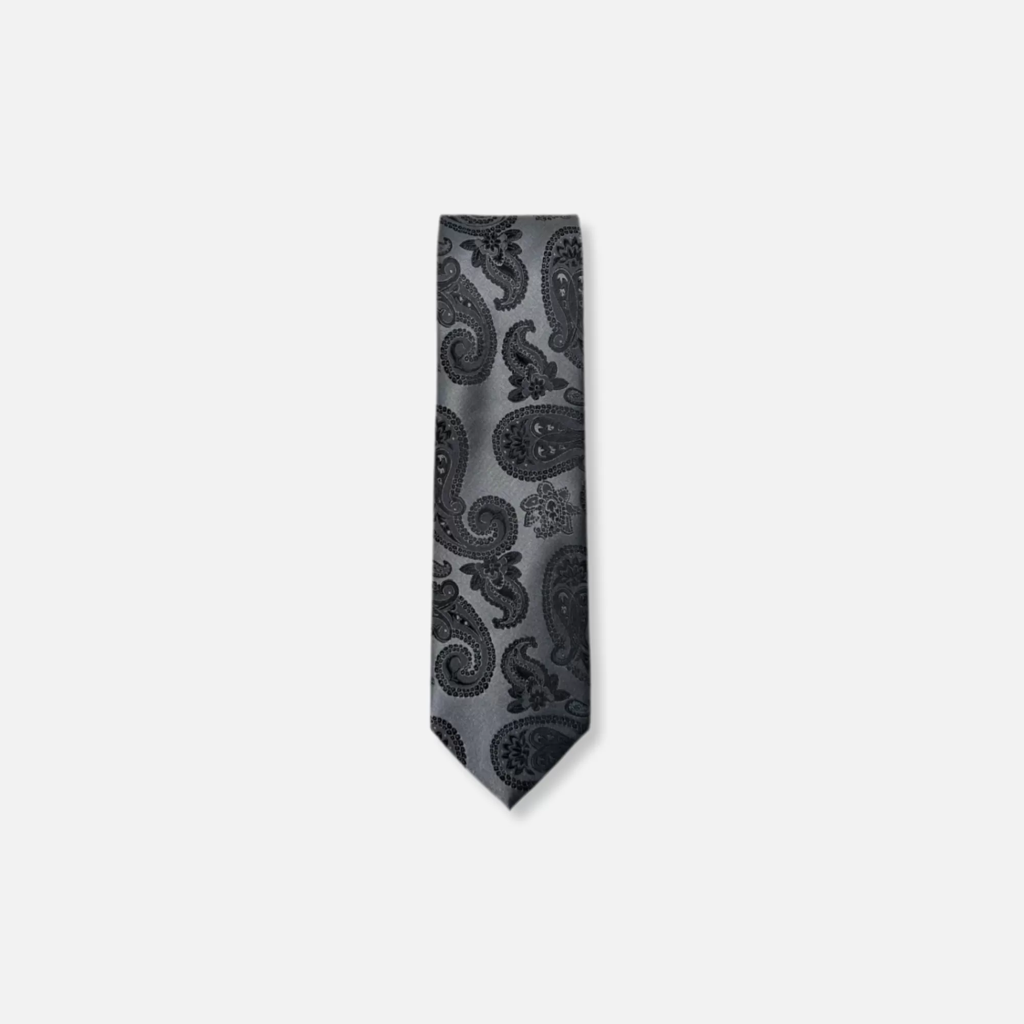 Dabney Classic Paisley Tie | New Edition Fashion Best Sale