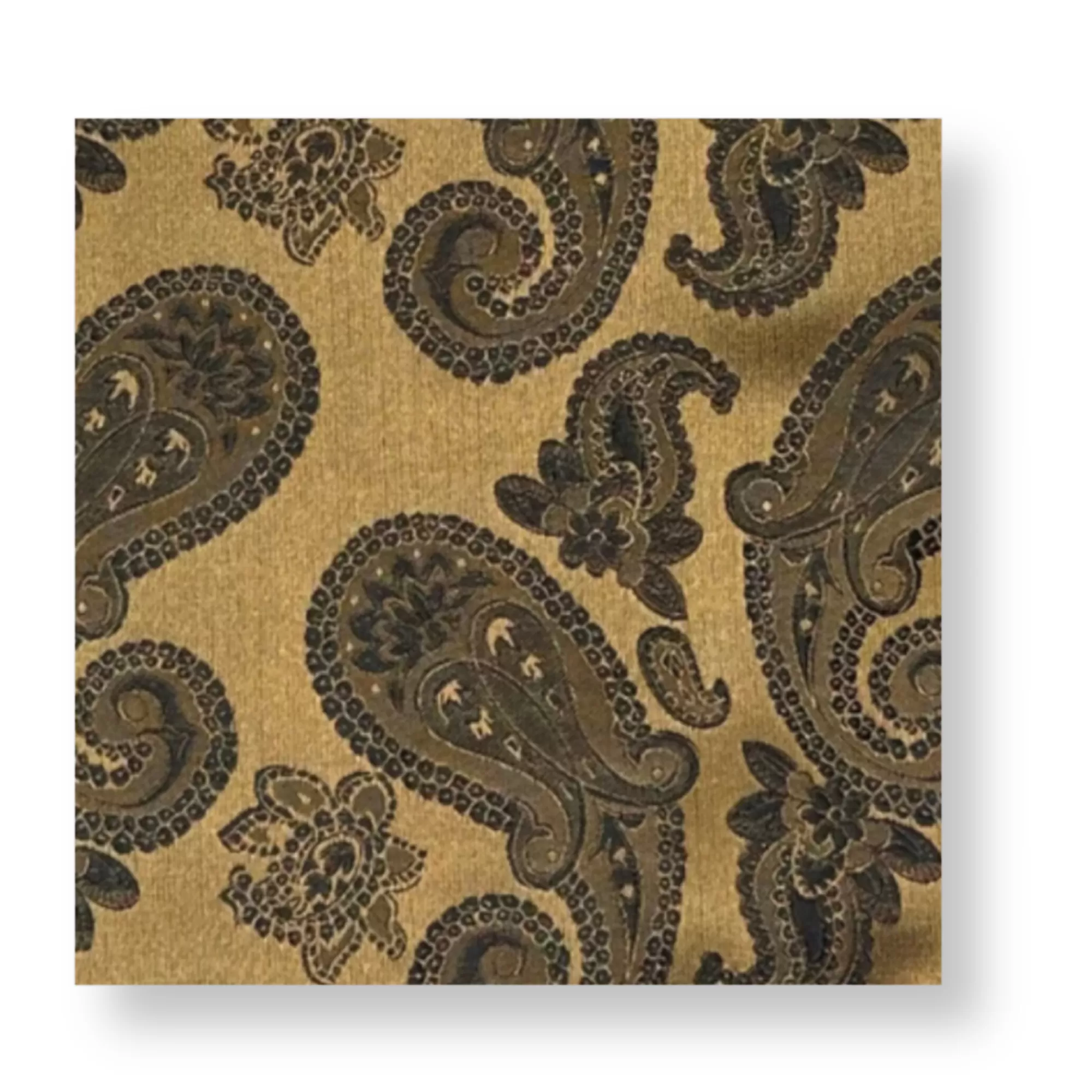 Dabney Paisley Pocket Square | New Edition Fashion Discount