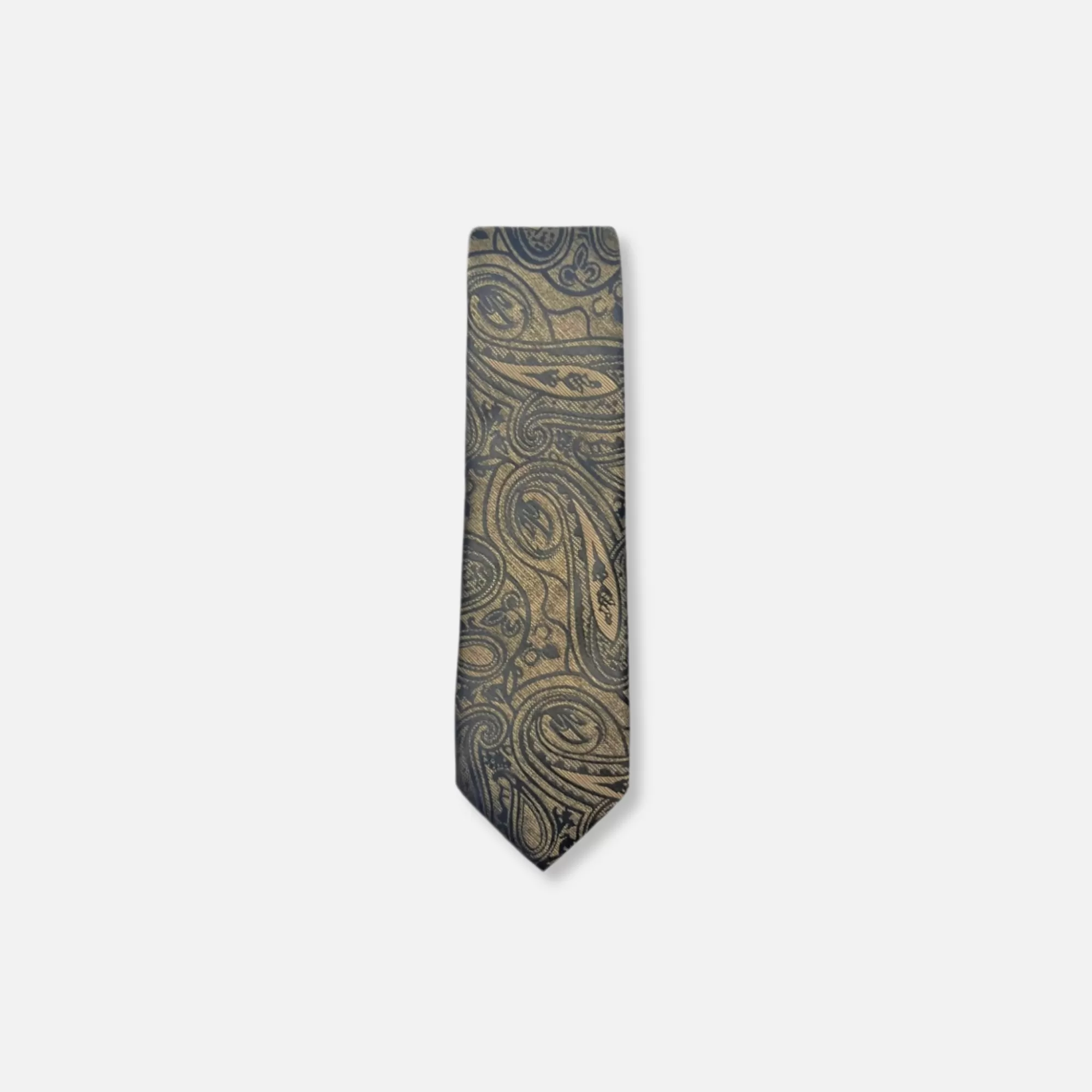 Dagan Classic Paisley Tie | New Edition Fashion Fashion