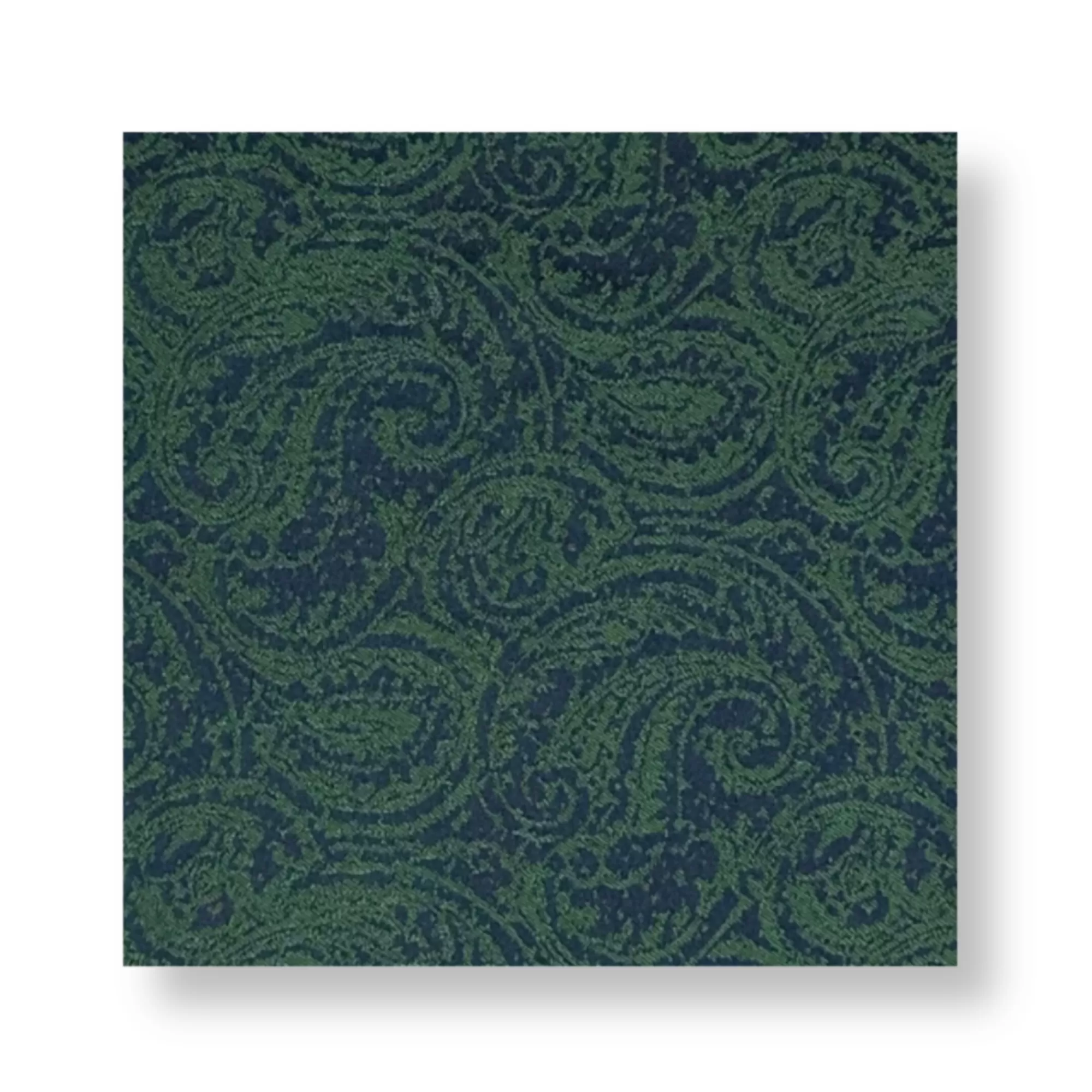 Dameron Paisley Pocket Square | New Edition Fashion Fashion