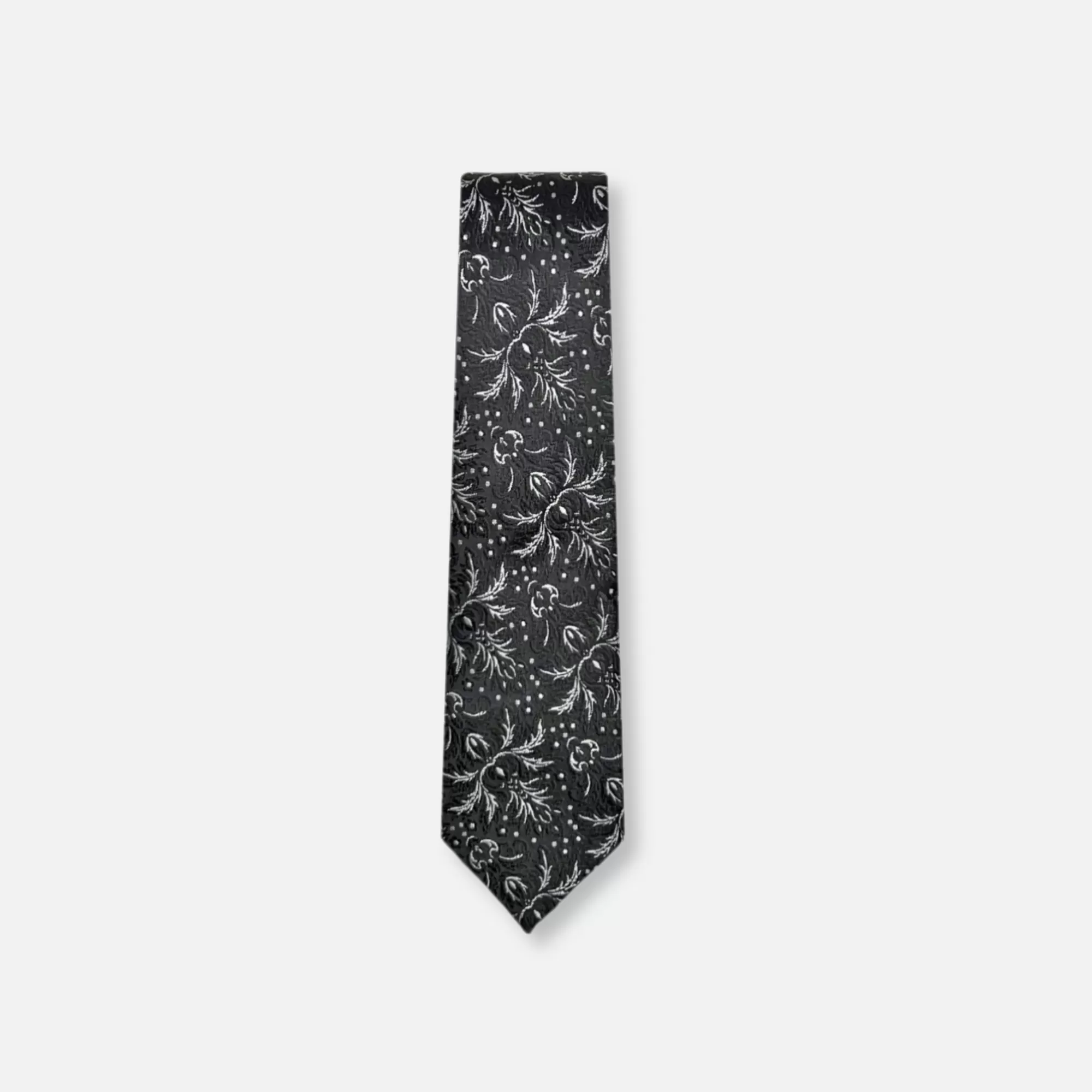 Danford Classic Paisley Tie | New Edition Fashion Hot