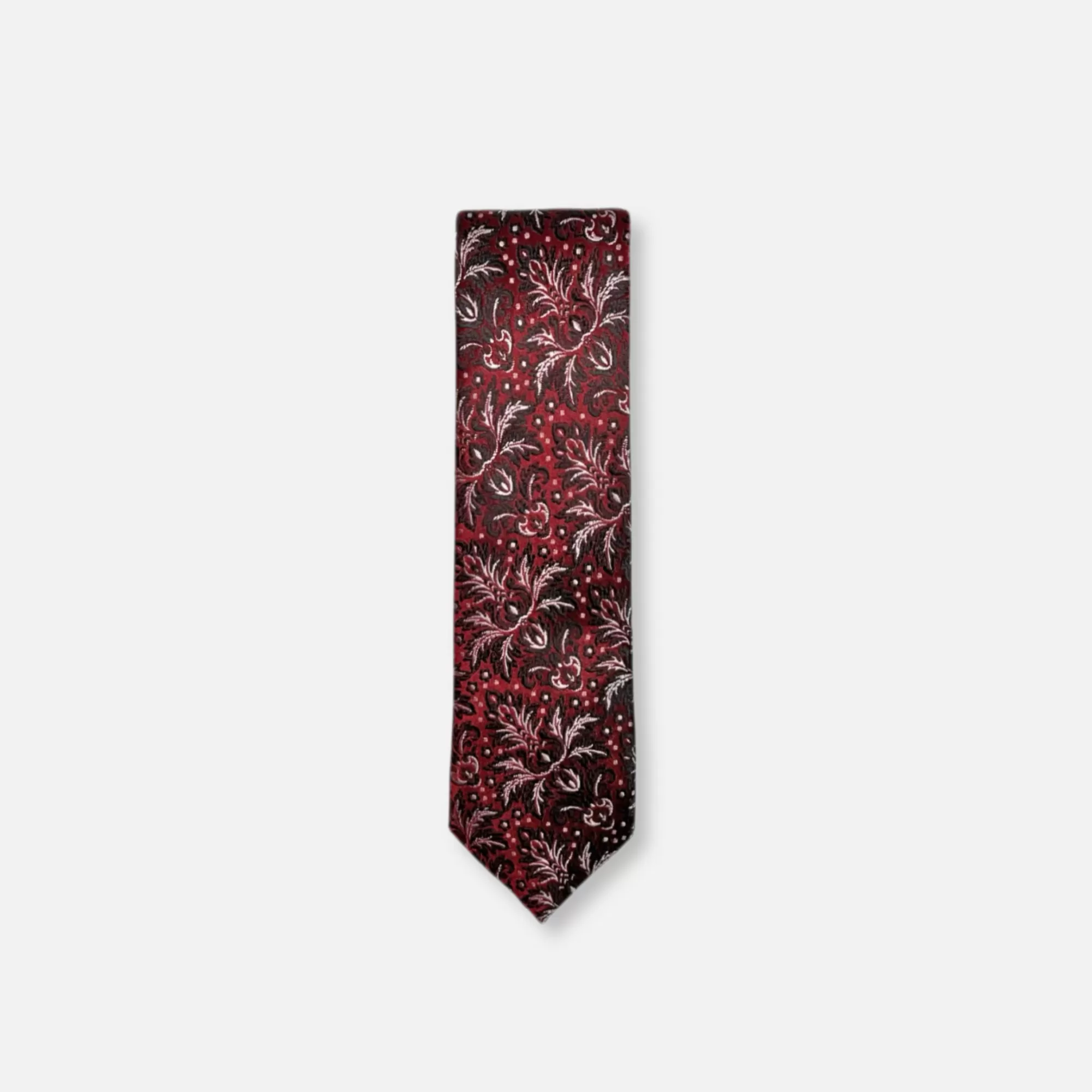 Danford Classic Paisley Tie | New Edition Fashion Online