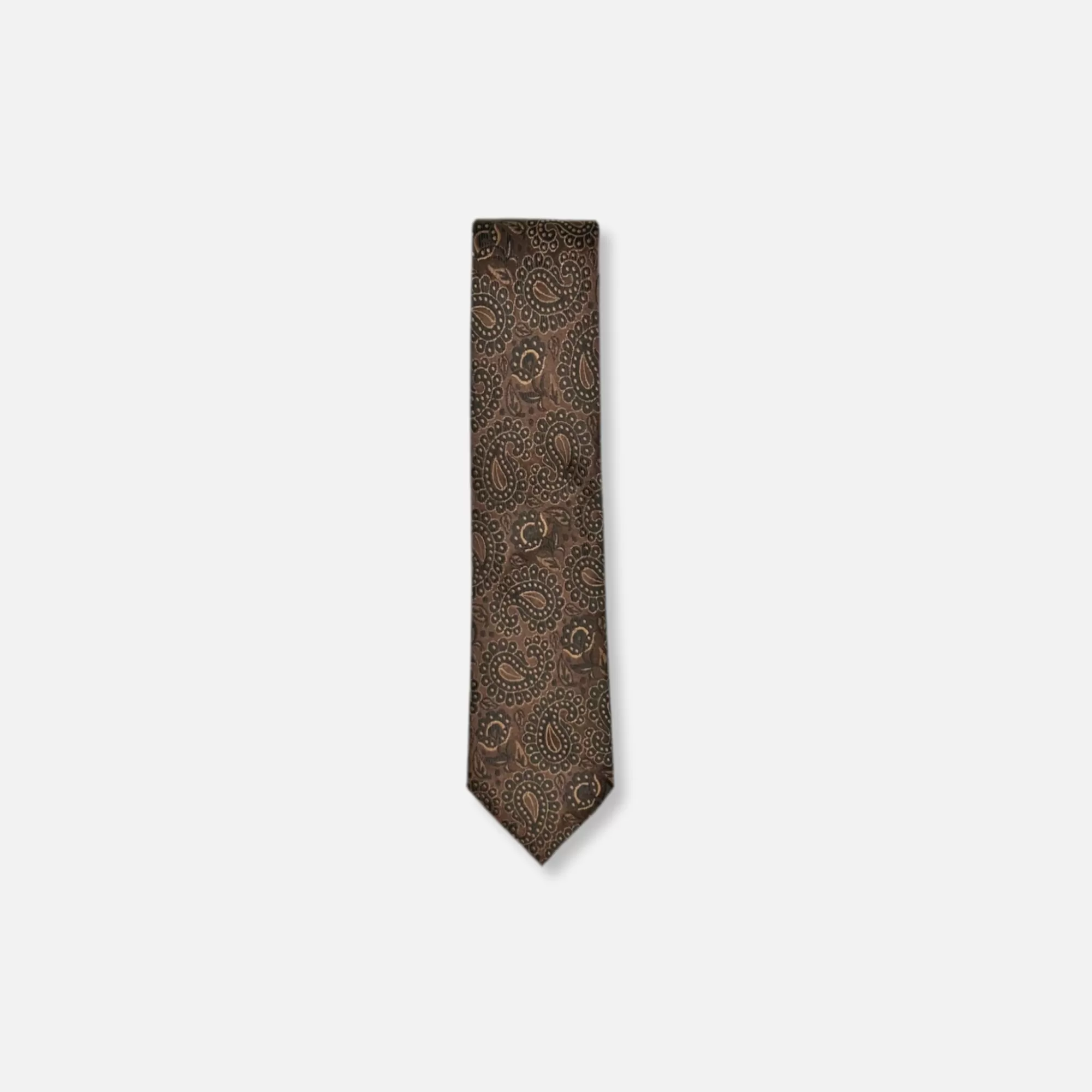 Darden Classic Paisley Tie | New Edition Fashion Cheap