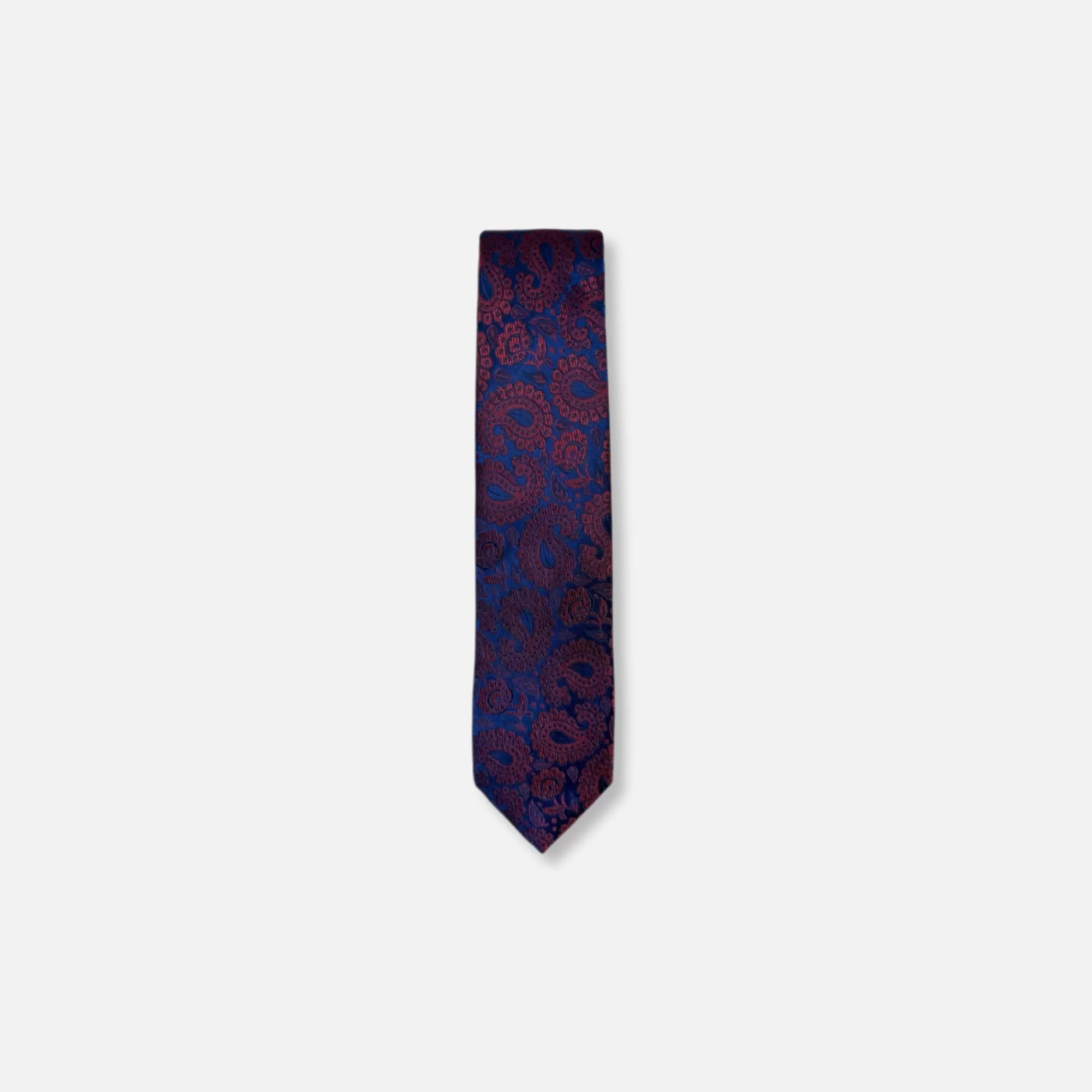 Darden Classic Paisley Tie | New Edition Fashion Outlet