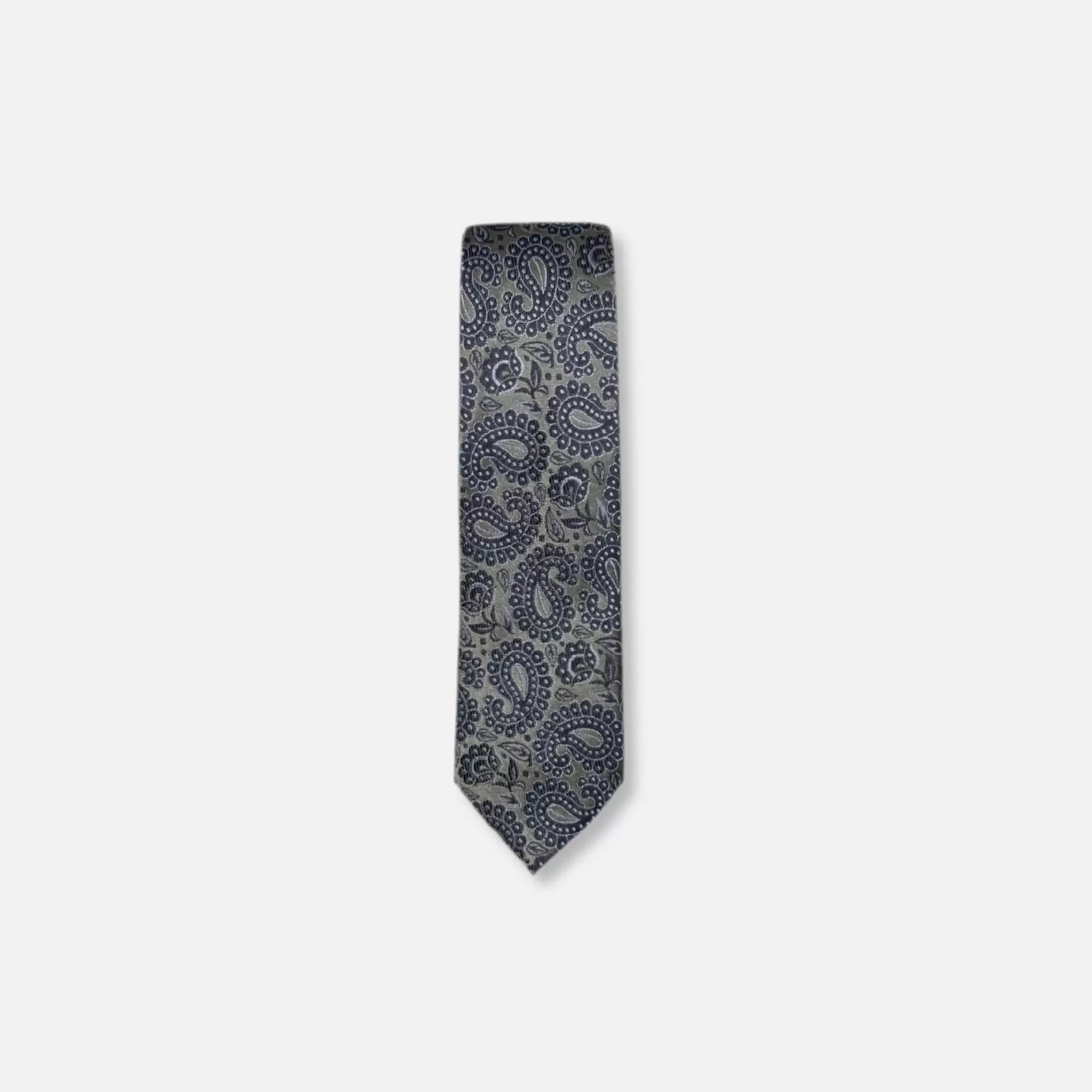 Darden Classic Paisley Tie | New Edition Fashion Clearance