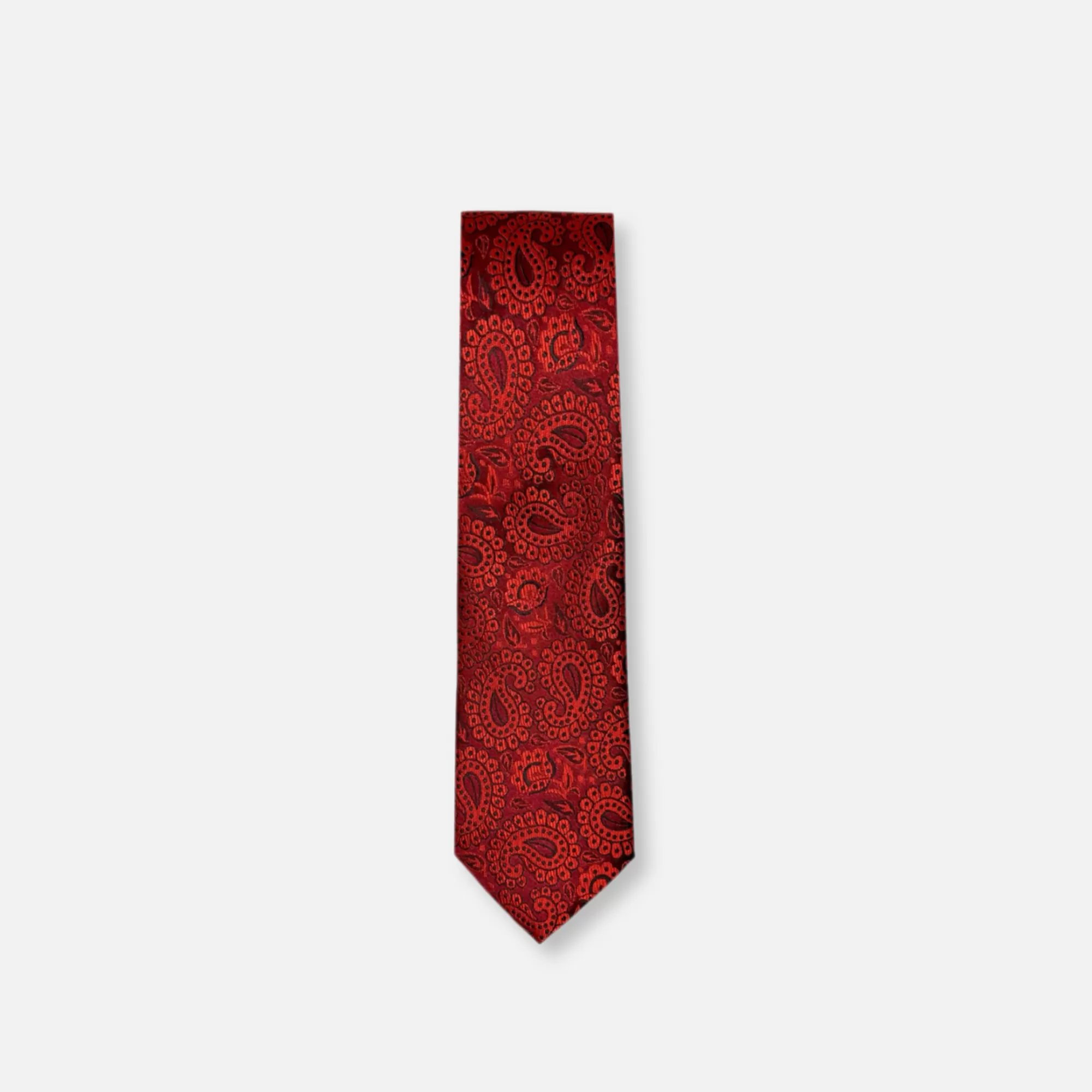 Darden Classic Paisley Tie | New Edition Fashion Flash Sale