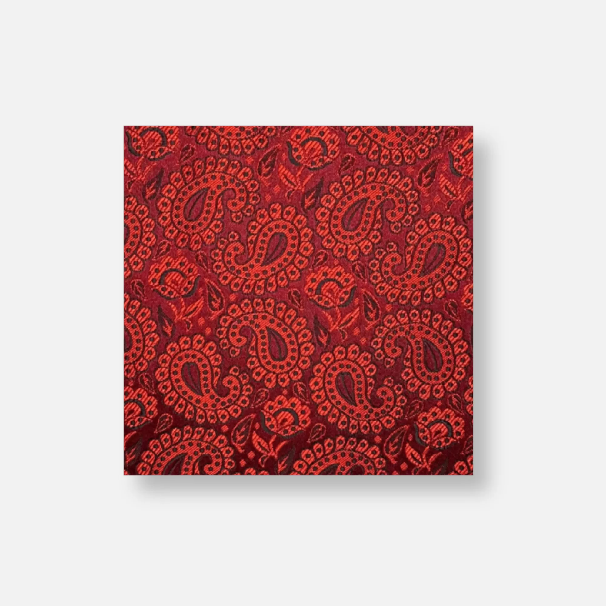 Darden Paisley Pocket Square | New Edition Fashion New