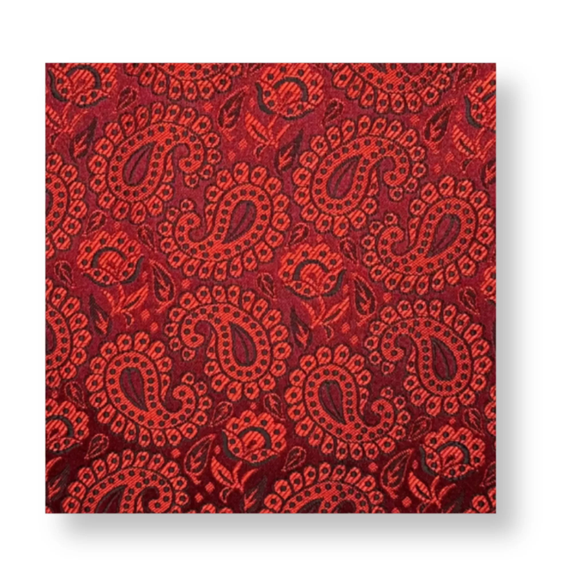 Darden Paisley Pocket Square | New Edition Fashion New