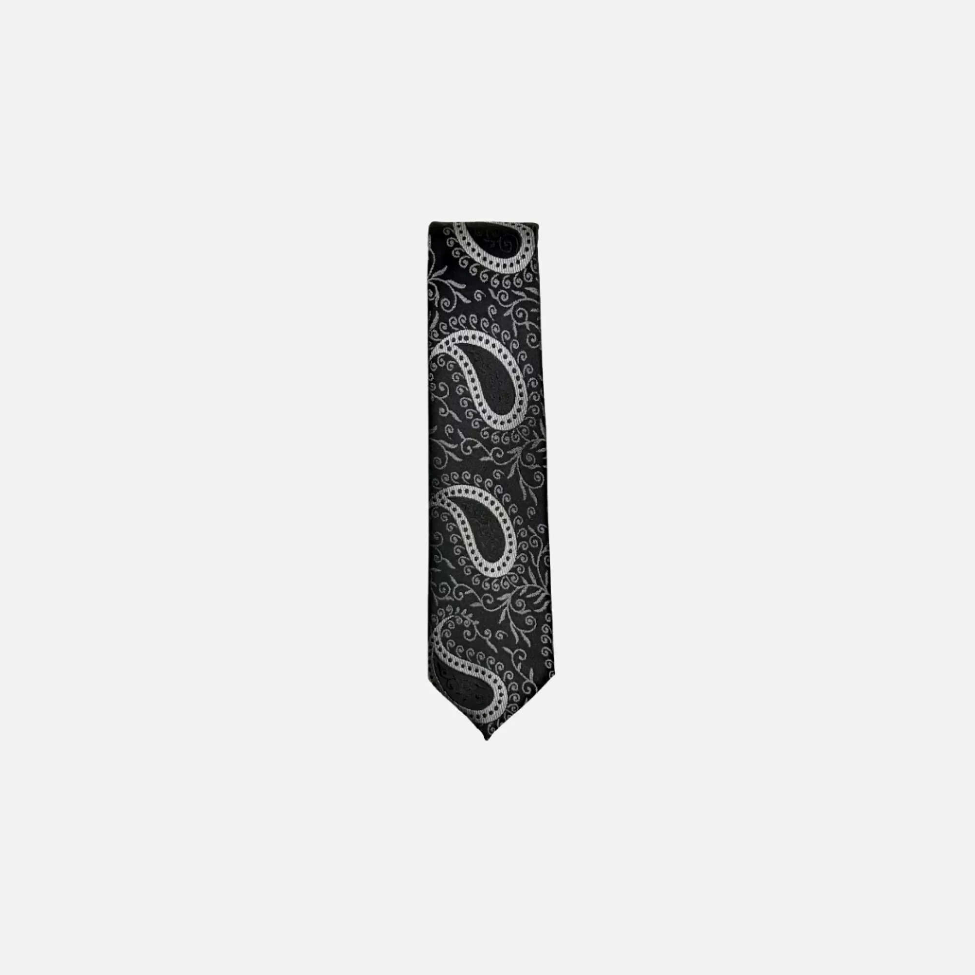 Darnell Classic Paisley Tie | New Edition Fashion Cheap