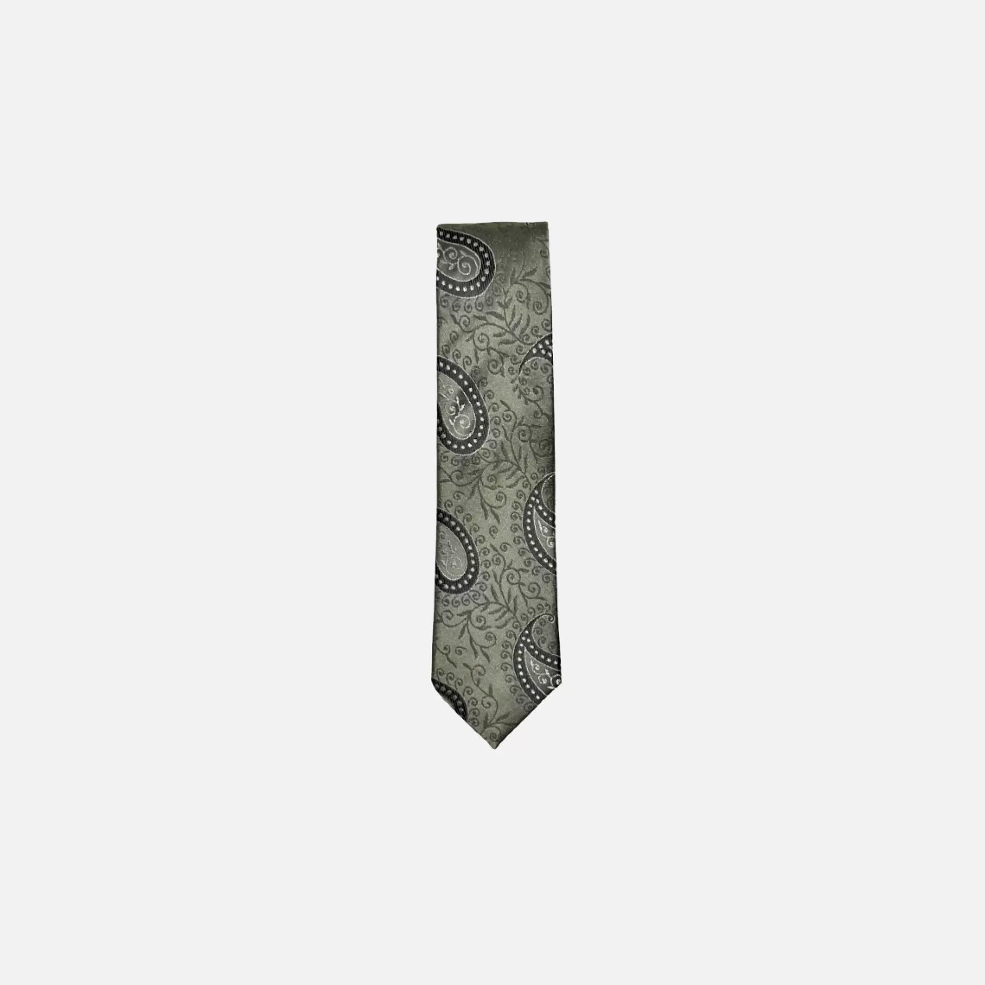 Darnell Classic Paisley Tie | New Edition Fashion Shop