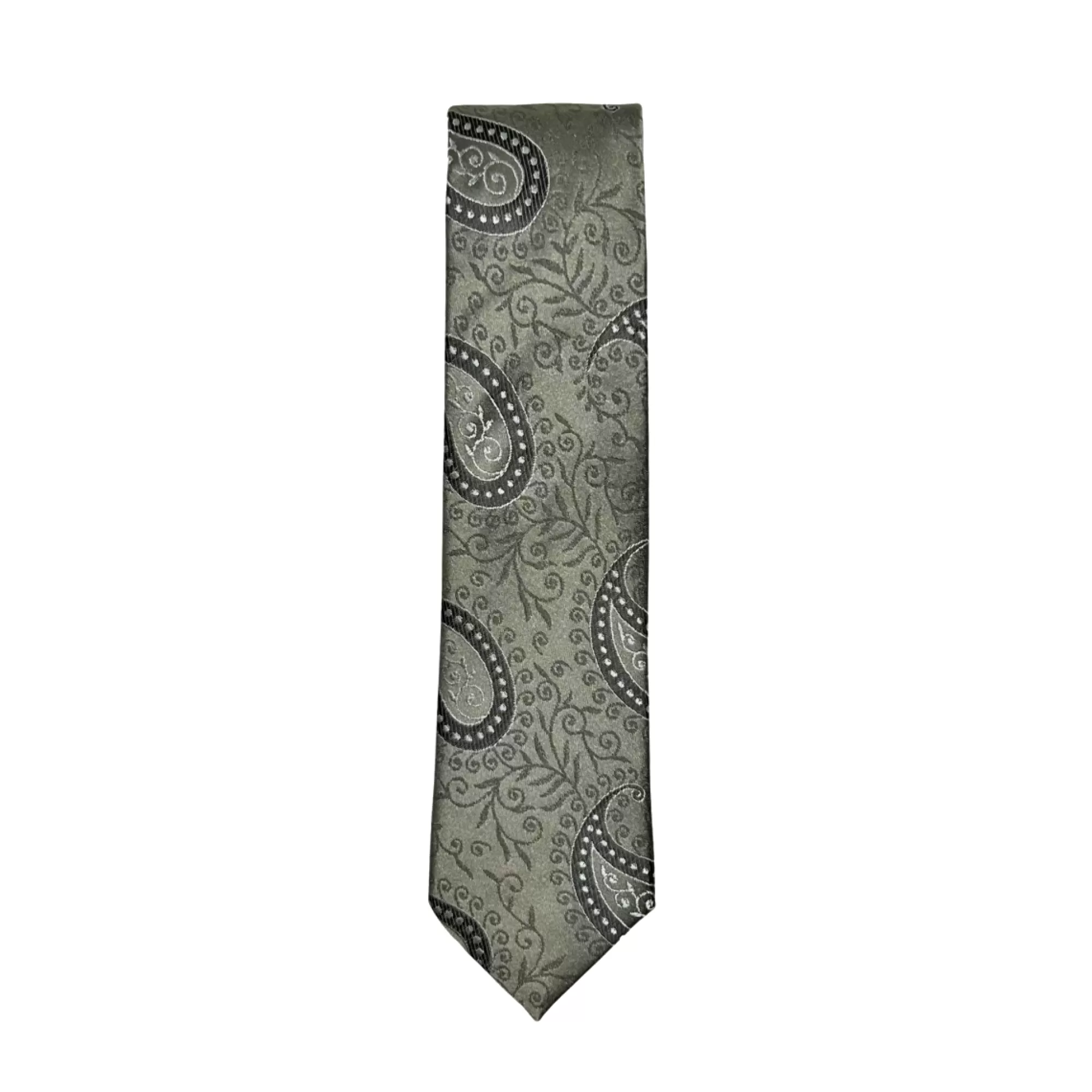 Darnell Classic Paisley Tie | New Edition Fashion Shop