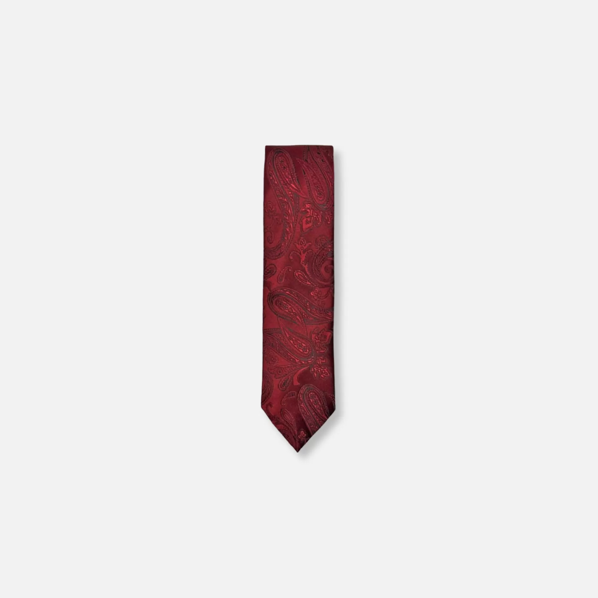 Daulton Classic Paisley Tie | New Edition Fashion Cheap