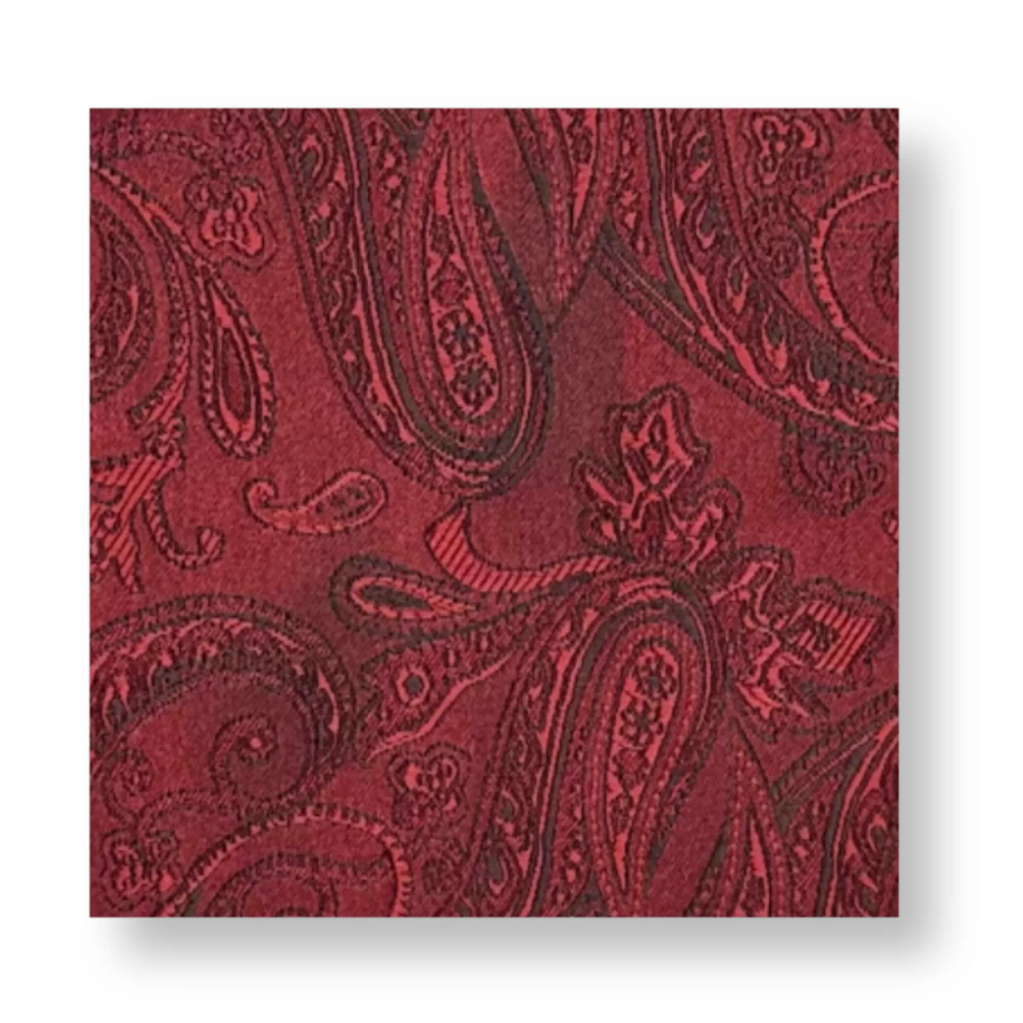 Daulton Paisley Pocket Square | New Edition Fashion Discount