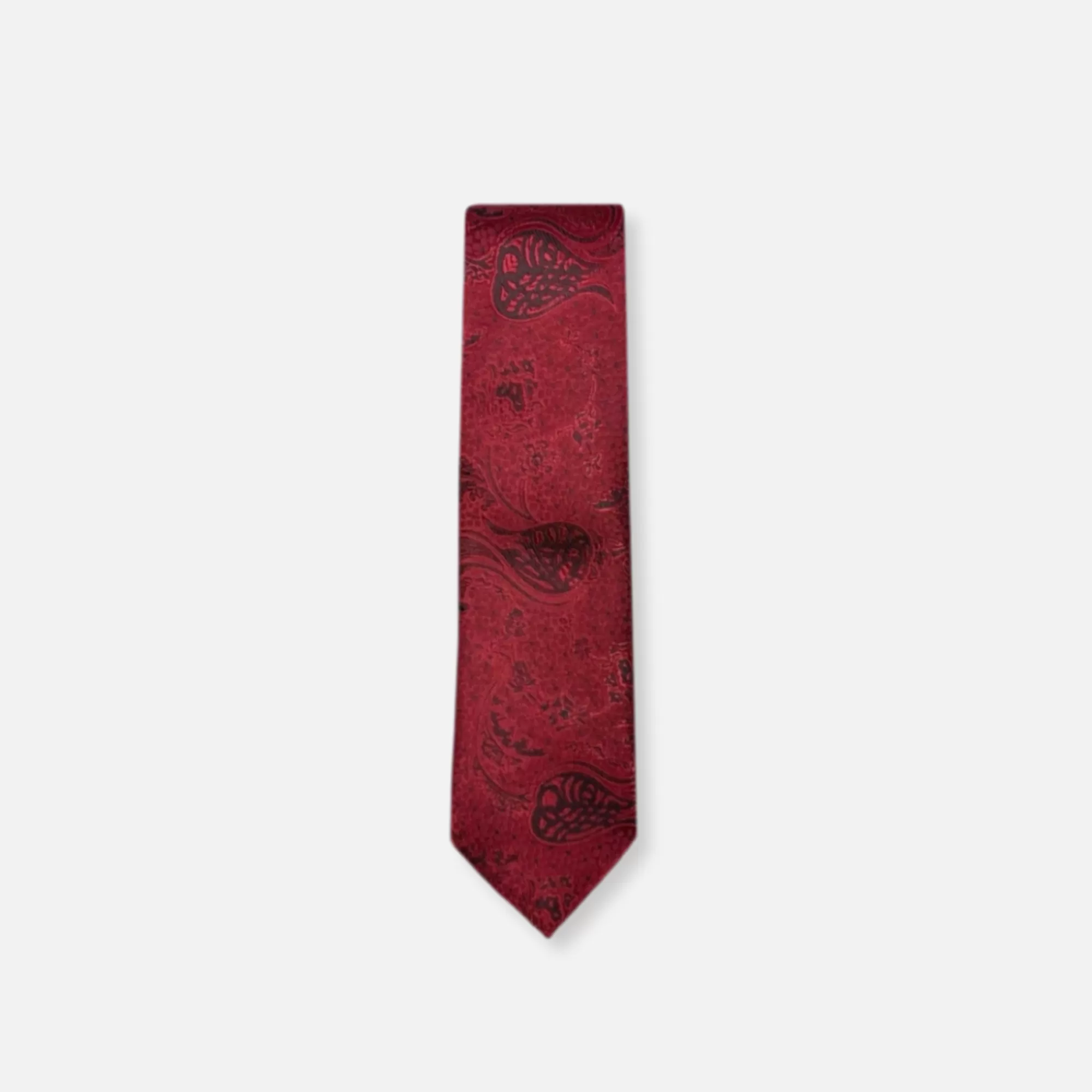 Daum Classic Paisley Tie | New Edition Fashion Best Sale