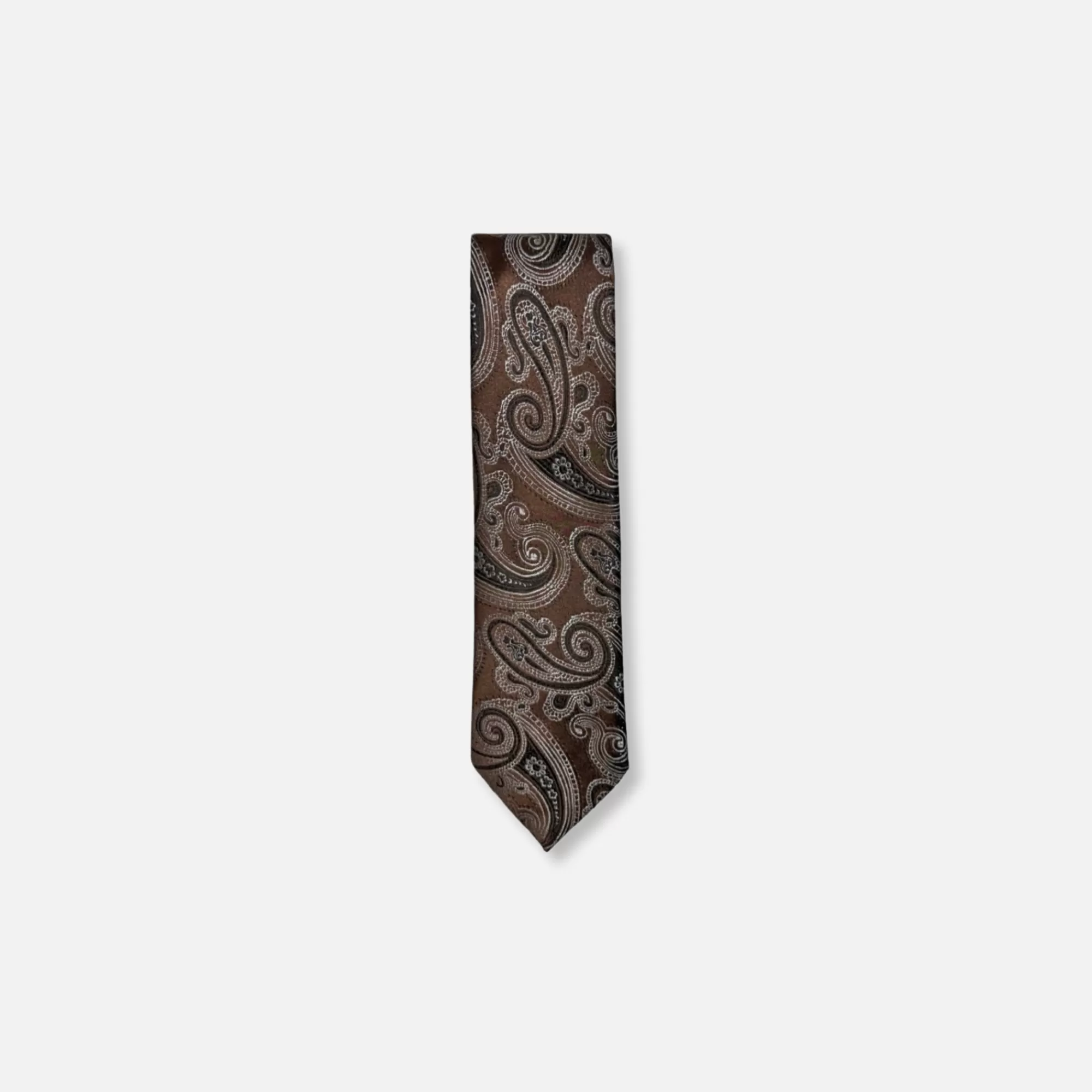 Davalos Classic Paisley Tie | New Edition Fashion New