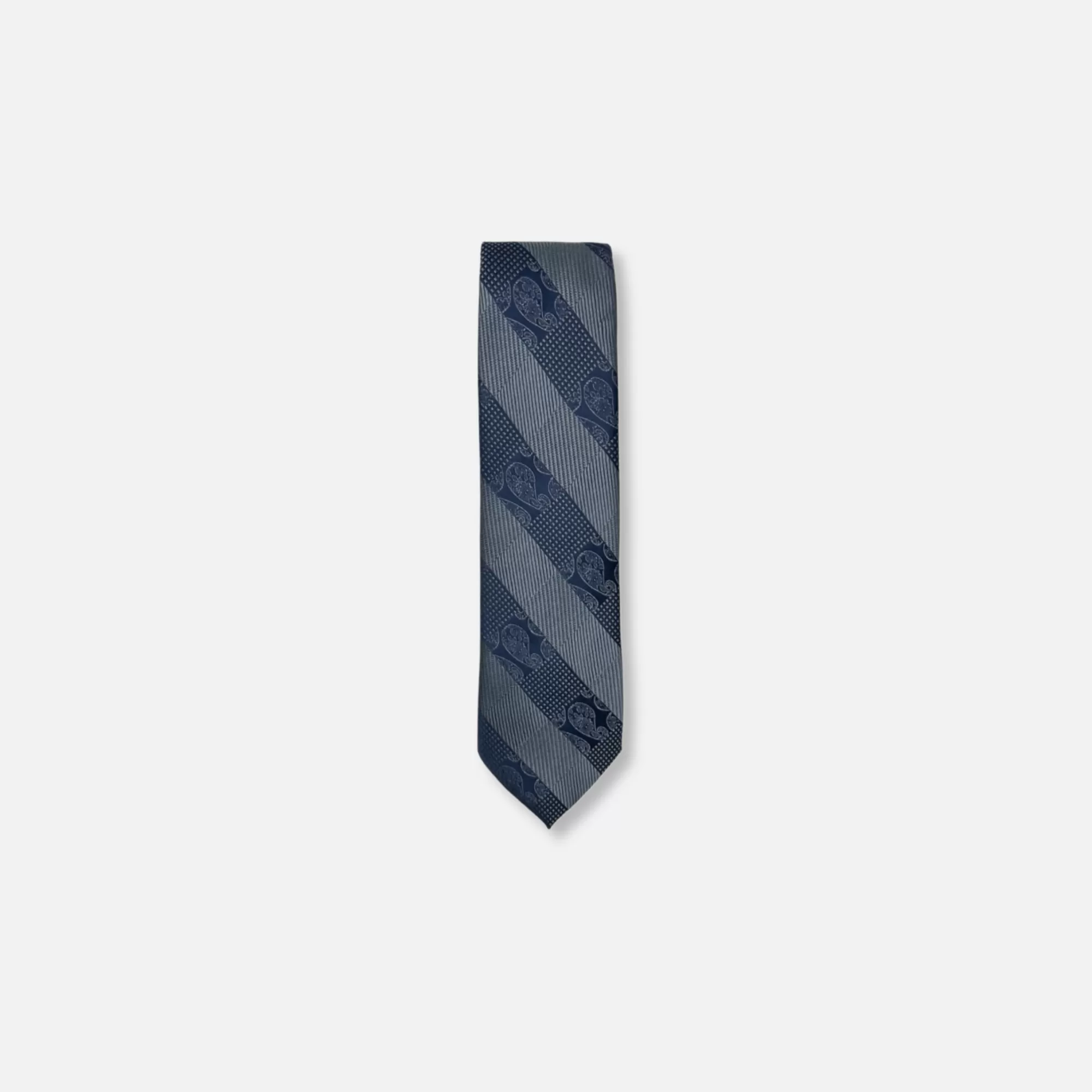 Davlin Classic Paisley Tie | New Edition Fashion Store