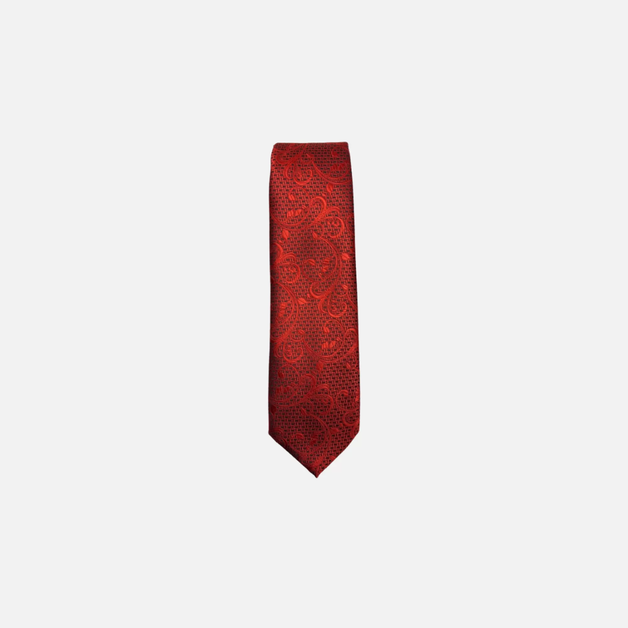 Davos Classic Paisley Tie | New Edition Fashion Cheap