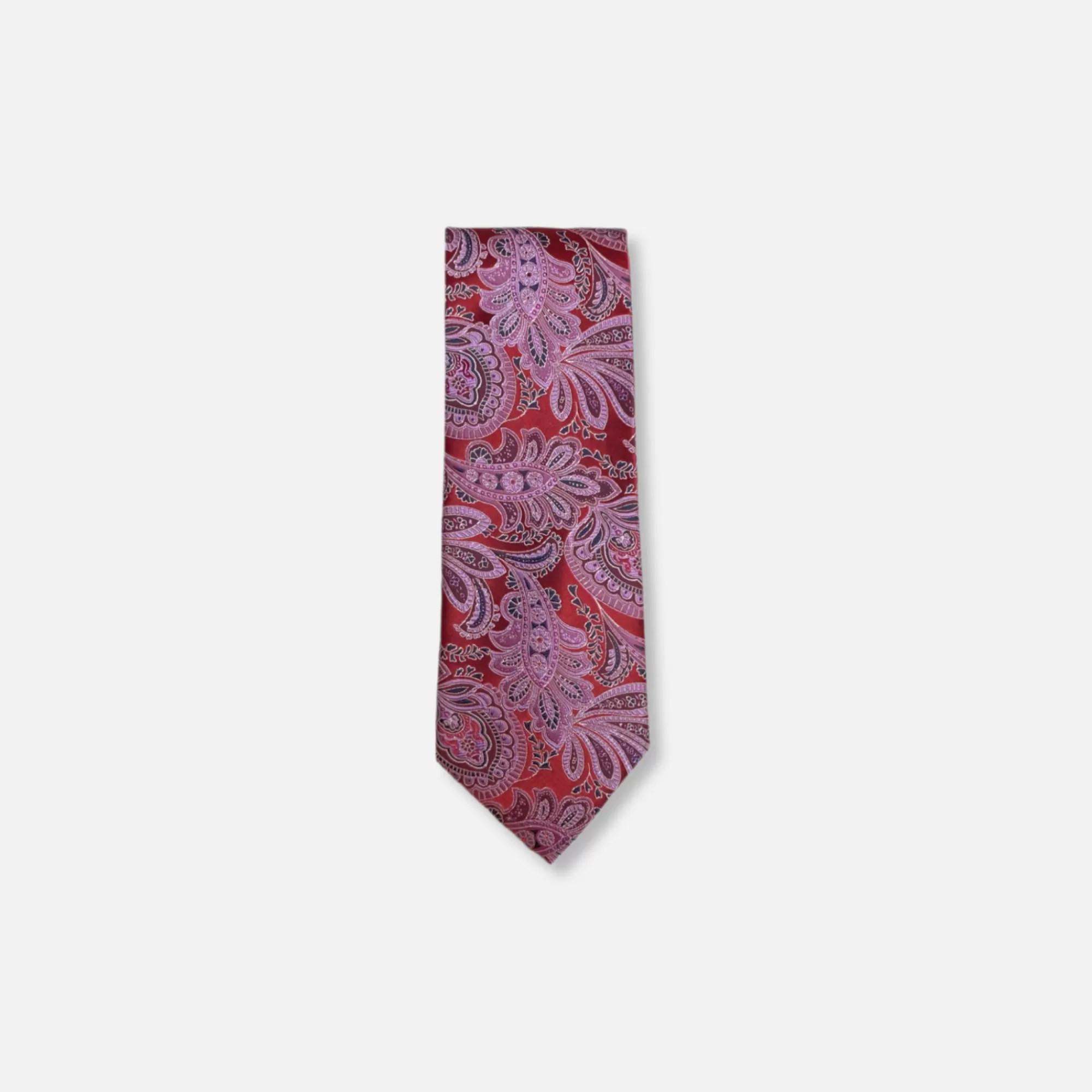 Ignatious Paisley Tie | New Edition Fashion Online