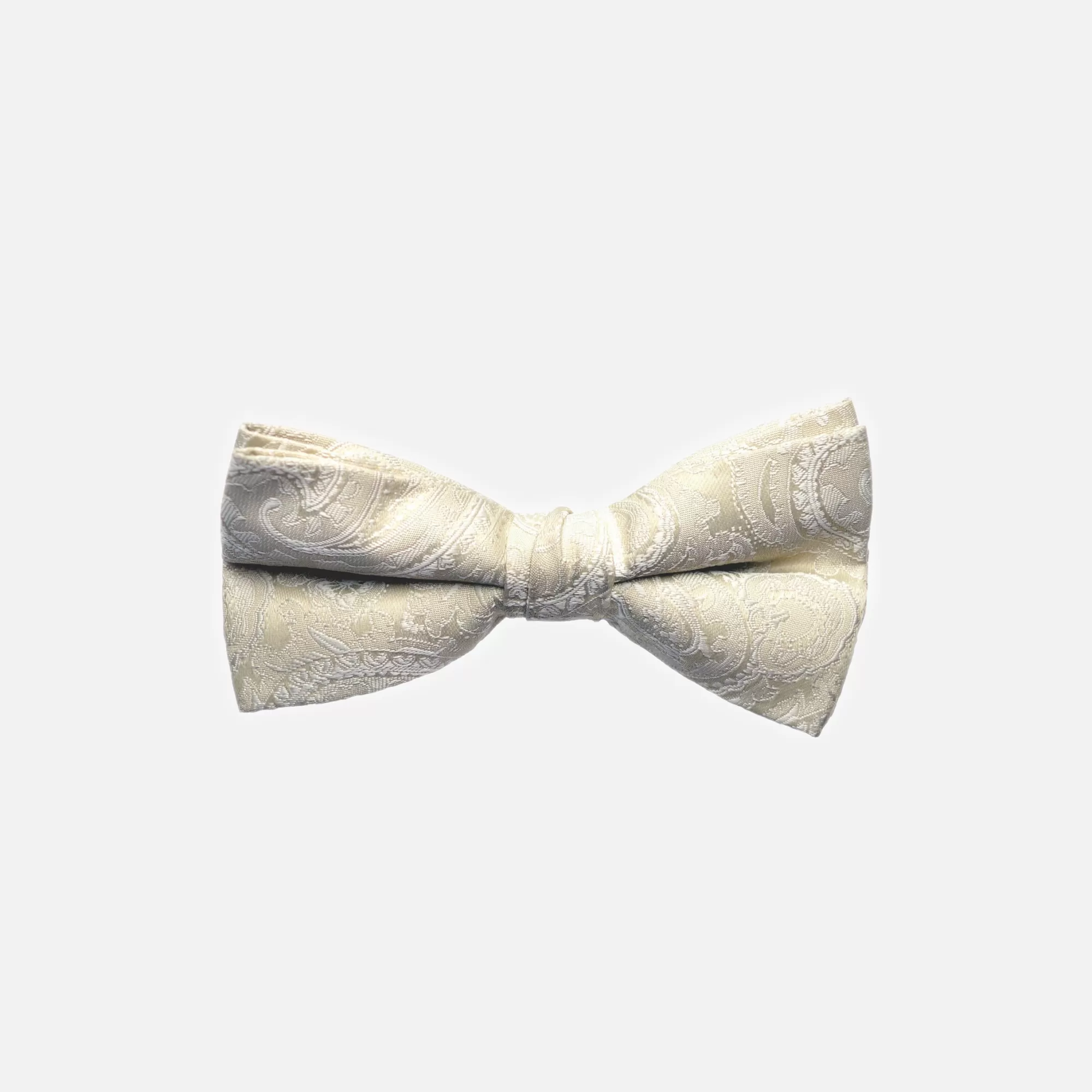 Stuart Paisley Bow Tie | New Edition Fashion Online