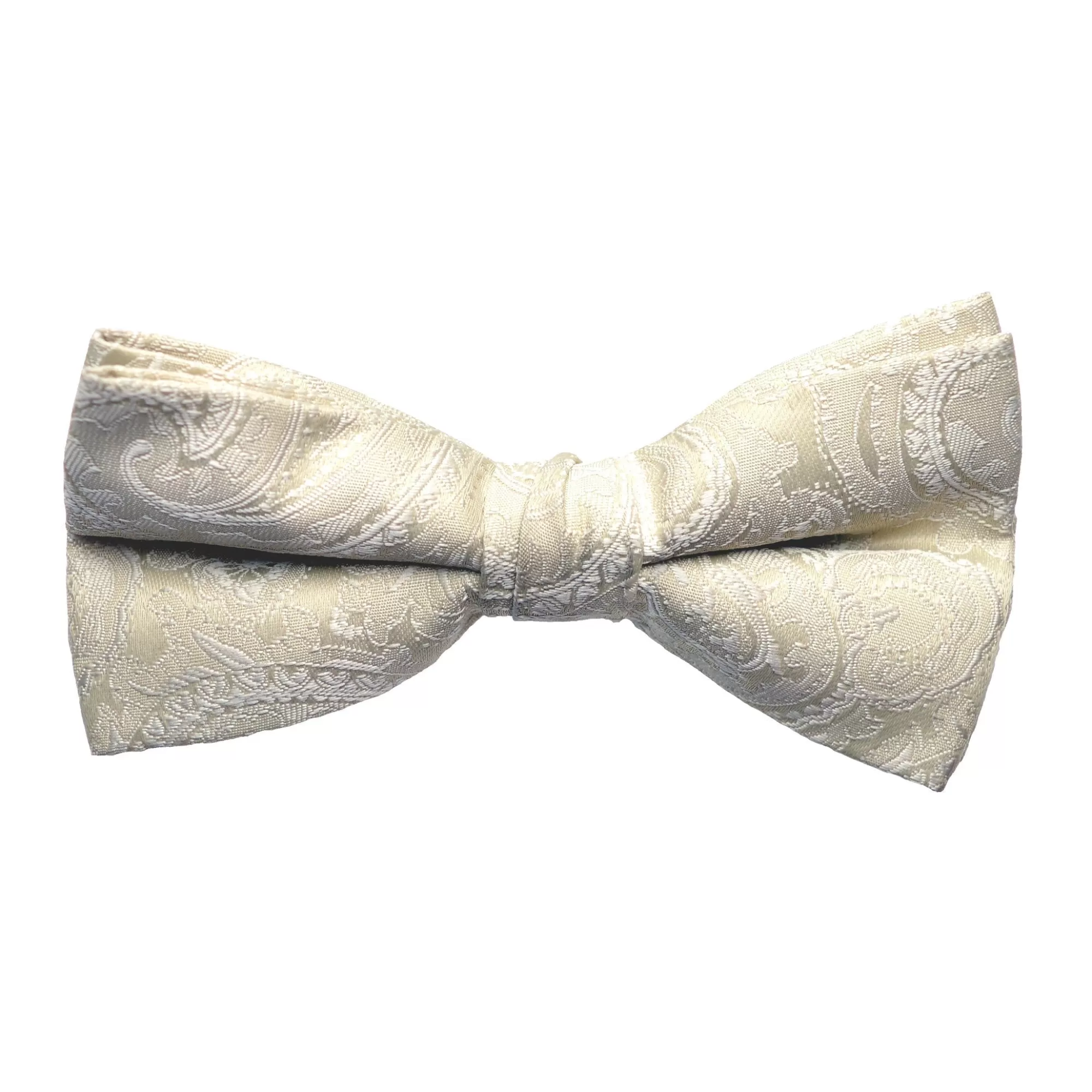 Stuart Paisley Bow Tie | New Edition Fashion Online