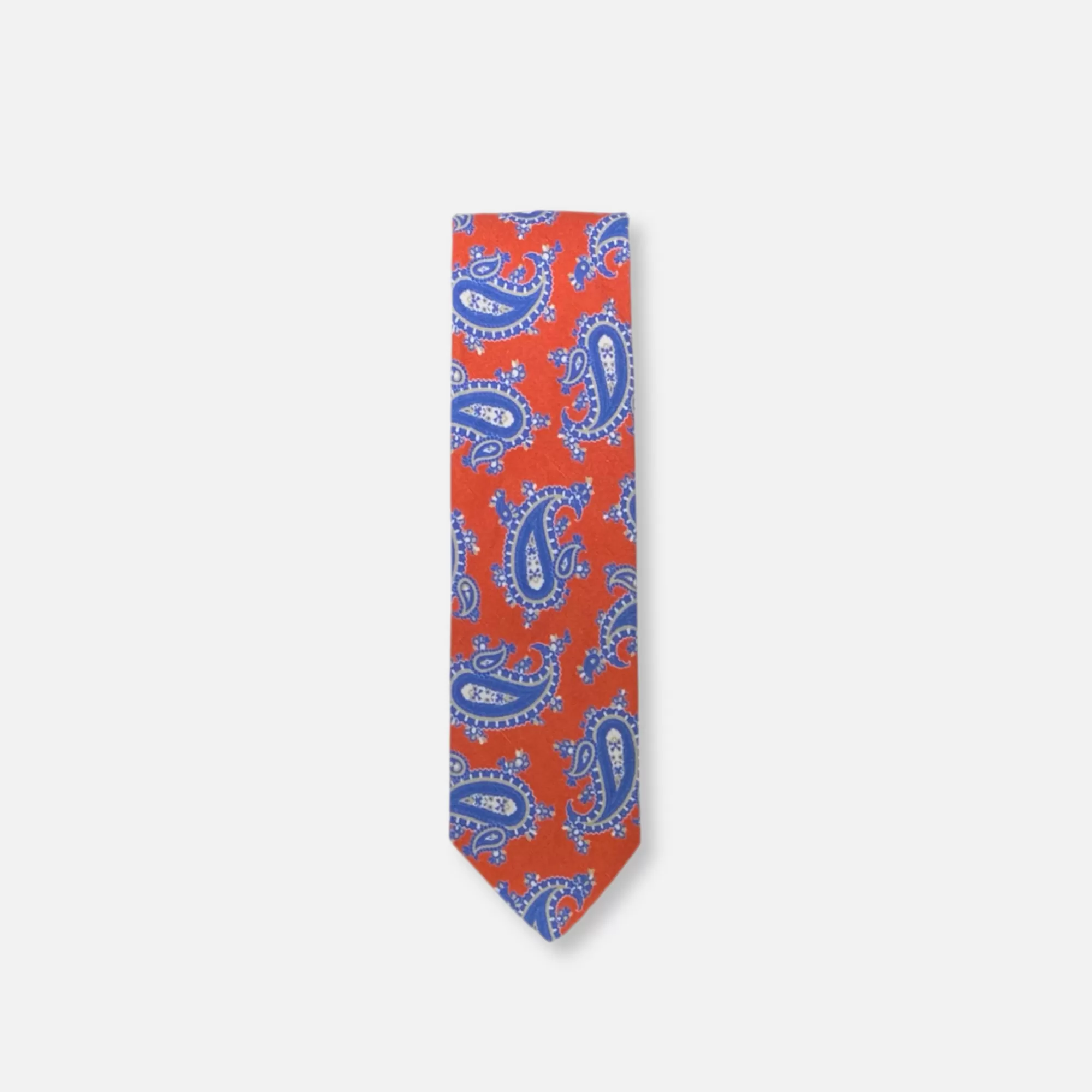 Tedric Paisley Silk Tie | New Edition Fashion Store